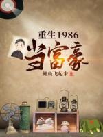 重生1986當(dāng)富豪