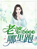 溺愛甜妻：老婆，哪里跑