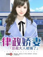 律政嬌妻：總裁大人被捕了