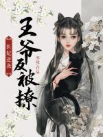 醫(yī)妃逆襲：王爺反被撩