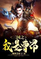 三國之我是曹昂