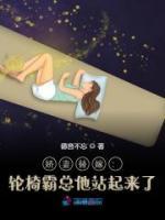 嬌妻替嫁：輪椅霸總他站起來了！
