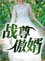 戰(zhàn)尊傲婿