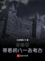 穿越之帶著胡八一去考古