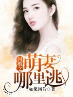 閃婚之萌妻哪里逃