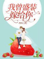 我曾想盛裝嫁給你