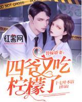 替嫁嬌妻：四爺又吃檸檬了