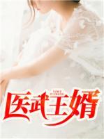 醫(yī)武王婿