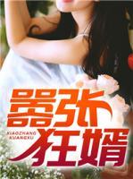 囂張狂婿