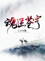 魂逆蒼穹