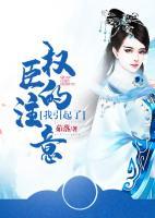 我引起了權(quán)臣的注意