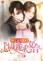 懷了龍鳳胎后，總裁跪求復(fù)合