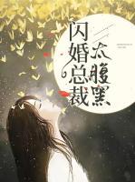 閃婚總裁太腹黑