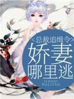 總裁追緝令：嬌妻哪里逃
