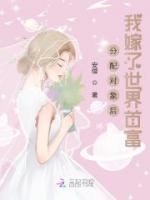 分配對象后我嫁了世界首富