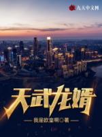天武龍婿