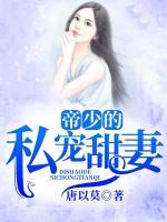 帝少的私寵甜妻