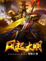 風(fēng)起大明