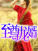 至尊龍婿