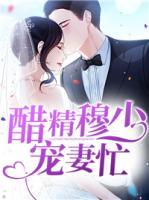 醋精穆少寵妻忙