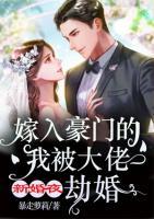 新婚夜，嫁入豪門的我被大佬劫婚