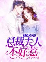 全城通緝：總裁夫人不好惹