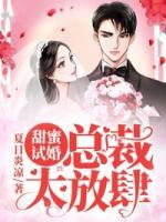 甜蜜試婚：總裁，太放肆