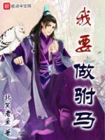 穿越大明朝當(dāng)駙馬