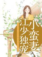 江少獨寵小蠻妻