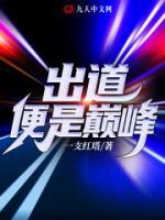 出道便是巔峰