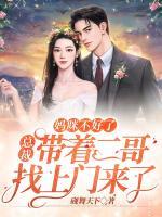 媽咪不好了，總裁帶著二哥找上門來了