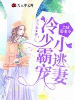 全球追妻令：冷少霸寵小逃妻