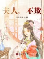 夫人，不欺