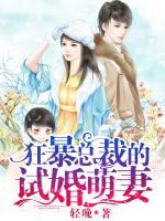 狂暴總裁的試婚萌妻
