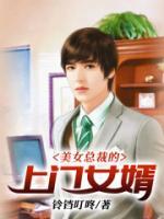 美女總裁的上門(mén)女婿