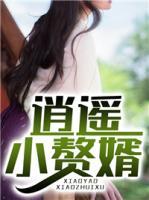 逍遙小贅婿