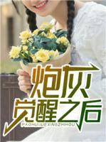 炮灰覺醒之后