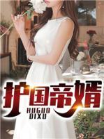 護(hù)國帝婿
