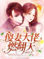 傻妻大佬，燃翻天