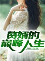贅婿的巔峰人生
