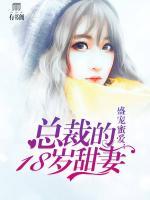 盛寵蜜愛：總裁的18歲甜妻