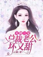 天降三寶：總裁老公太壞了！
