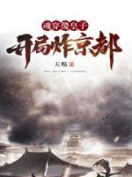 魂穿傻皇子，開局炸京都