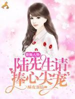 撩她入懷：陸先生請捧心尖寵