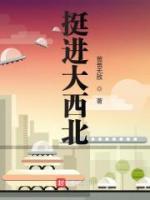 挺進大西北