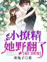 豪門團(tuán)寵：小撩精她野翻了