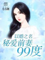 以婚之名：秘愛前妻99度