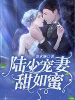 陸少寵妻甜如蜜