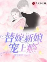 替嫁新娘寵上癮