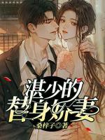 湛少的替身嬌妻
